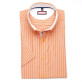 Pomarańczowa taliowana koszula w paski