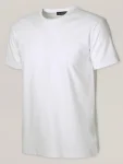 Biały t-shirt męski Willsoor
