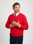 Sweter Willsoor