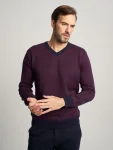 Sweter Willsoor