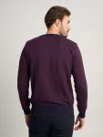 Sweter Willsoor