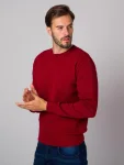 Sweter Willsoor