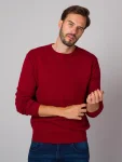 Sweter Willsoor