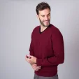 Sweter Willsoor
