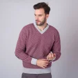 Sweter Willsoor