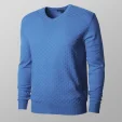 Sweter Willsoor