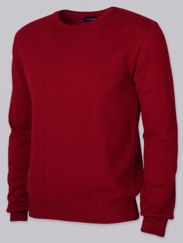 Sweter Willsoor
